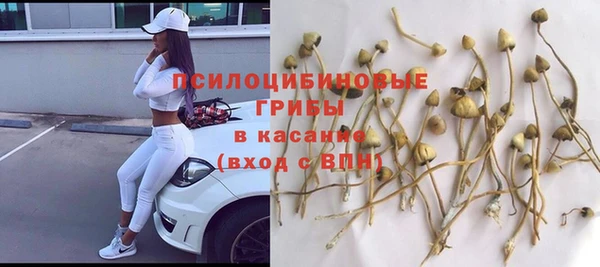 синтетический гашиш Бородино