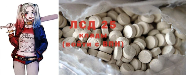 стаф Бугульма