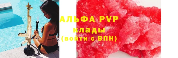 стаф Бугульма