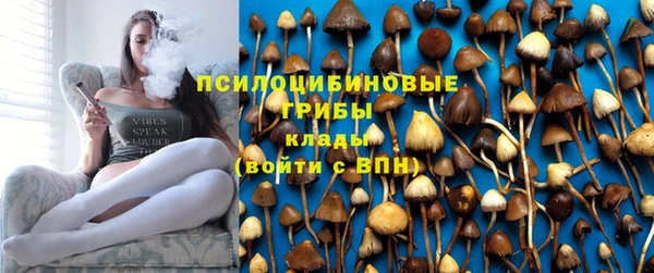 синтетический гашиш Бородино