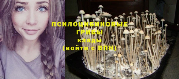 каннабис Верхний Тагил